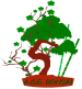 logo-blog-bonsai